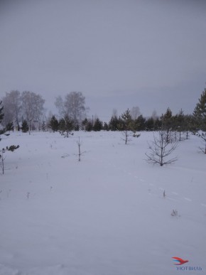 Баженово ул Южная д 7 в Королеве - korolev.yutvil.ru - фото 2 Баженово ул Южная д 7 в Королеве - korolev.yutvil.ru - фото 2