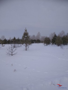 Баженово ул Южная д 7 в Королеве - korolev.yutvil.ru - фото 5 Баженово ул Южная д 7 в Королеве - korolev.yutvil.ru - фото 5