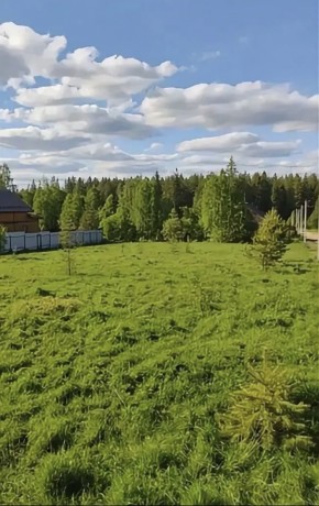 ДП Родной в Королеве - korolev.yutvil.ru - фото 3