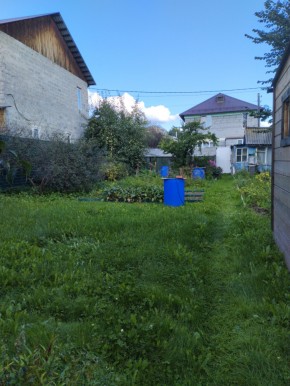 Коллективный сад номер 7, участок 58 в Королеве - korolev.yutvil.ru - фото 26 Коллективный сад номер 7, участок 58 в Королеве - korolev.yutvil.ru - фото 26