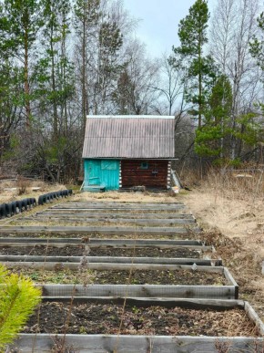 СНТ Родники в Королеве - korolev.yutvil.ru - фото 7 СНТ Родники в Королеве - korolev.yutvil.ru - фото 7