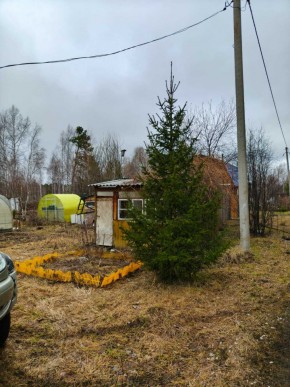 СНТ Родники в Королеве - korolev.yutvil.ru - фото 5