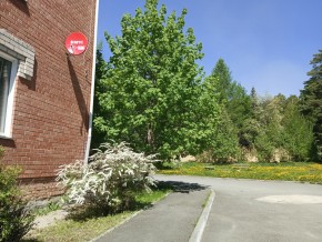 ул. Сосновая, 8 в Королеве - korolev.yutvil.ru - фото 25 ул. Сосновая, 8 в Королеве - korolev.yutvil.ru - фото 25