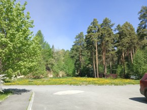 ул. Сосновая, 8 в Королеве - korolev.yutvil.ru - фото 26 ул. Сосновая, 8 в Королеве - korolev.yutvil.ru - фото 26