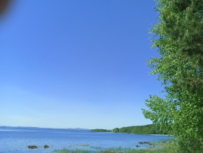 ул. Сосновая, 8 в Королеве - korolev.yutvil.ru - фото 34 ул. Сосновая, 8 в Королеве - korolev.yutvil.ru - фото 34